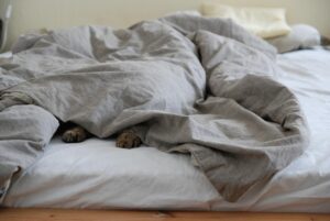 ワキガの布団の匂いを効果的に取り方は？