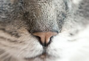 ワキガとタバコの匂いが悪化する原因とは？