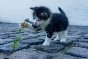 ワキガが気になる飲み会での匂い対策は？