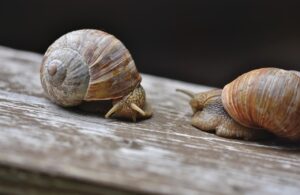 ミラドライの費用の目安はどれくらいですか？