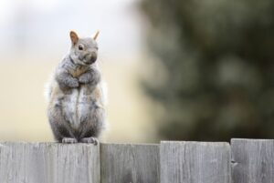 ワキガ手術は日帰りで可能なのか？