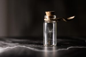 ワキガの女性における遺伝の確率はどのくらい？