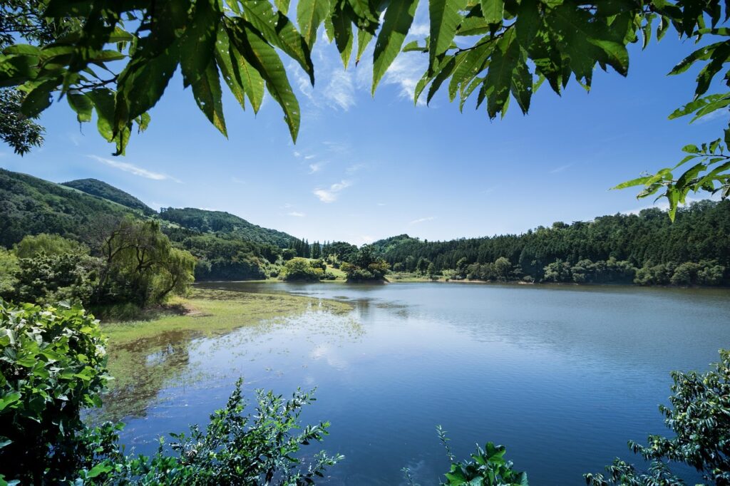 ワキガの悩みを解消するためには何科を受診すれば良いのか？