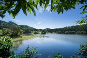 ワキガの悩みを解消するためには何科を受診すれば良いのか？