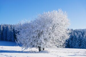 ワキガの冬に匂いがあるか気になる方への対策は？