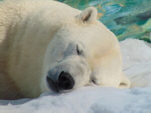 ワキガを彼氏に言われた時の効果的な対処法は？