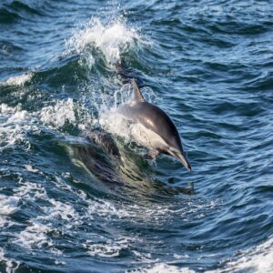 ワキガのカウンセリングを受けるのが恥ずかしい時の対策は？